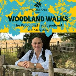 Woodland Walks podcast of the Woodland Trust hosted by Adam Shaw